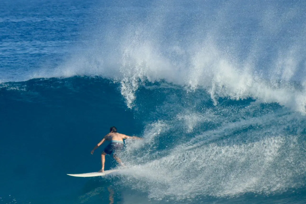Intermediate Surf Coaching Cabarete