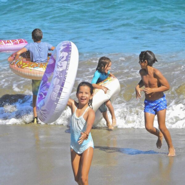 neurosience behind surfing neurosience behind surfing
