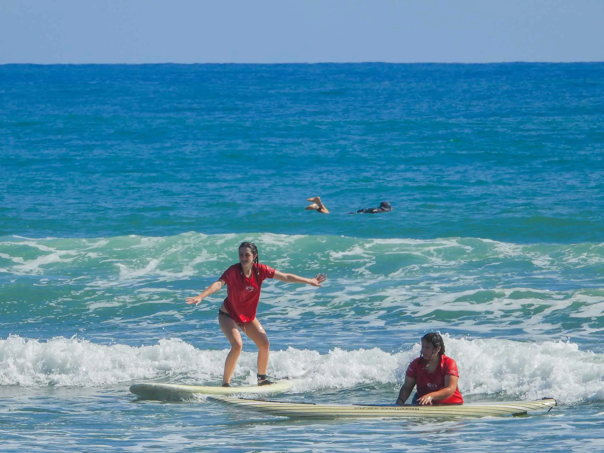 surf cabarete