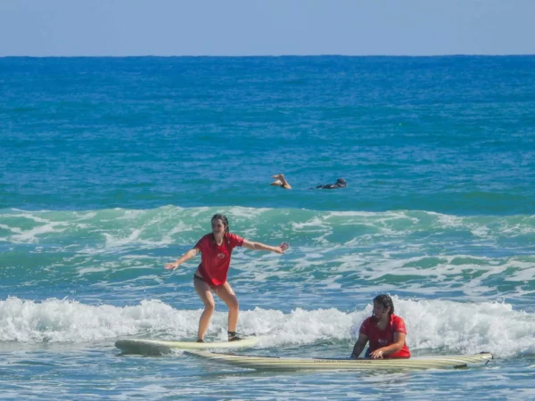 surf cabarete